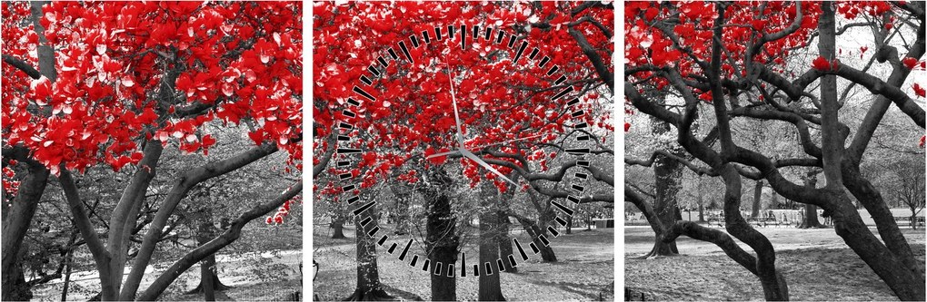 Tablou - Copaci roșii, Central Park, New York (cu ceas) (90x30 cm)