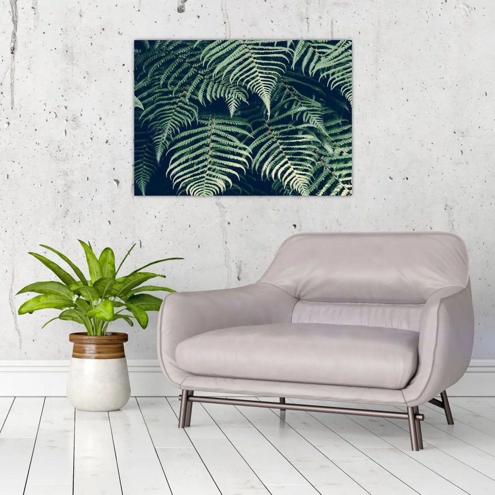 Tablou cu frunze de ferigă (70x50 cm)