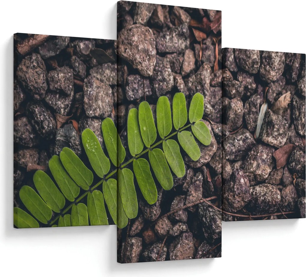 Tablou cu planta verde (90x60 cm)