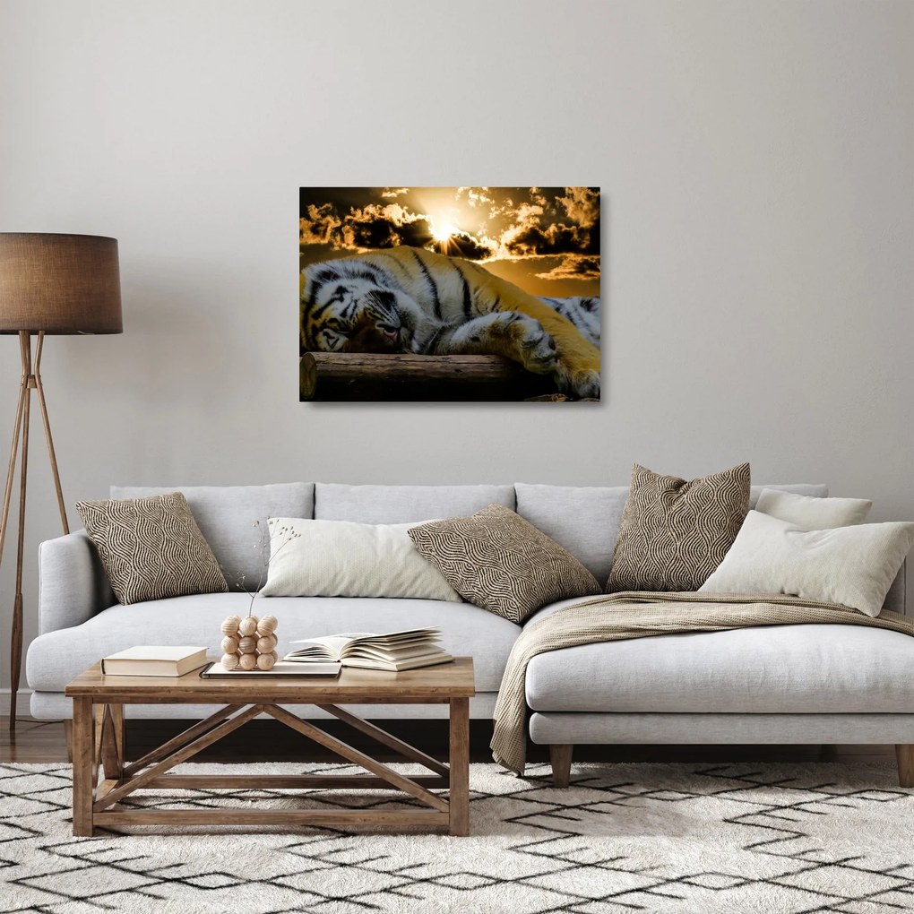 Tablou pe sticlă tigrul dormind (70x50 cm)