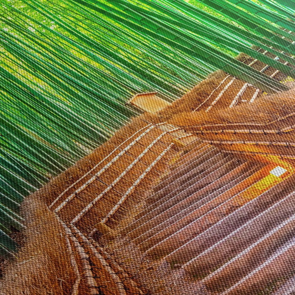 Tablou - Pădure de bambus japoneză (150x105 cm)