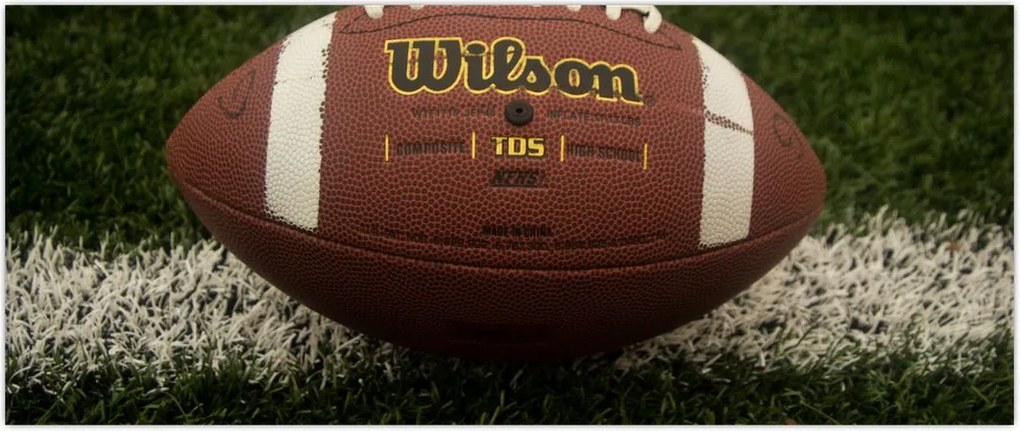 Tablou - Fotbal (120x50 cm)