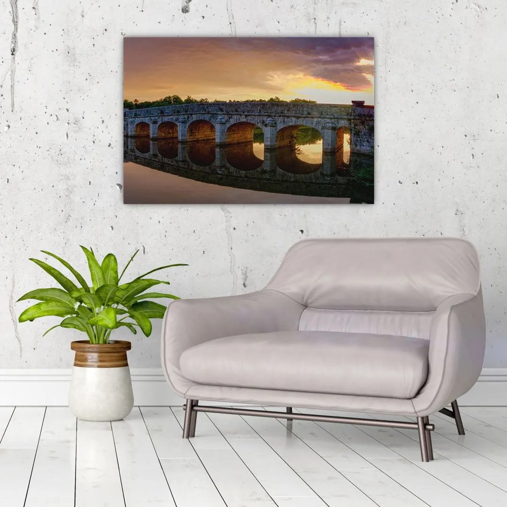 Tablou cu pod (90x60 cm)