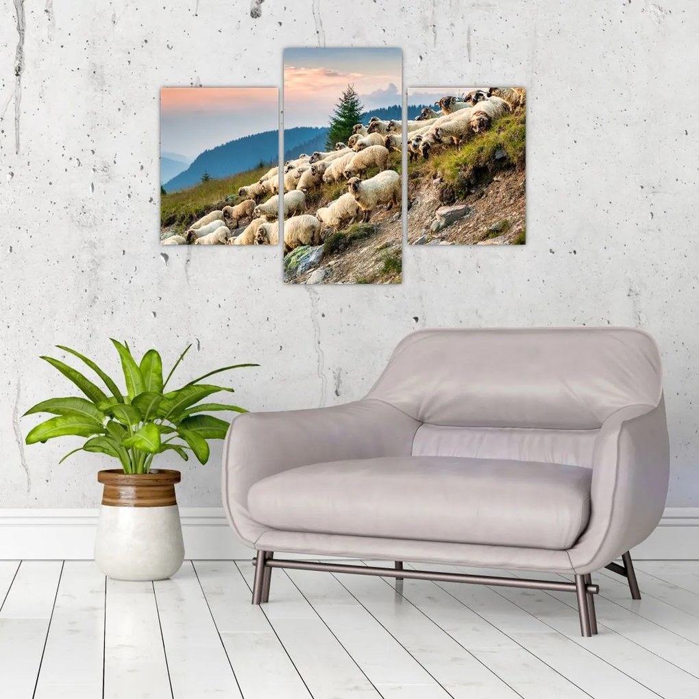 Tablou - O turmă de oi (90x60 cm)