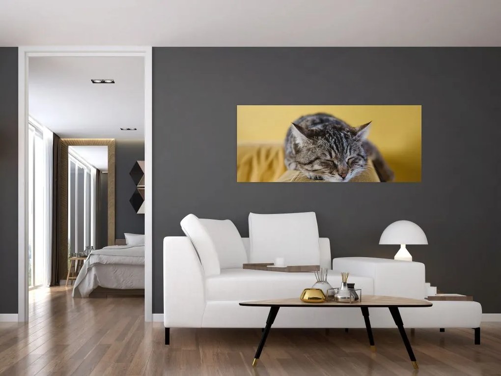 Tablou cu pisica pe fotoliu (120x50 cm)