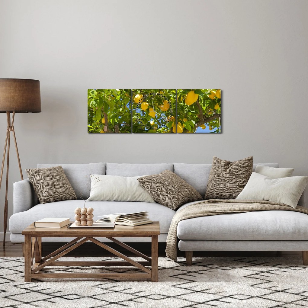 Tablou - Lămâiță (cu ceas) (90x30 cm)