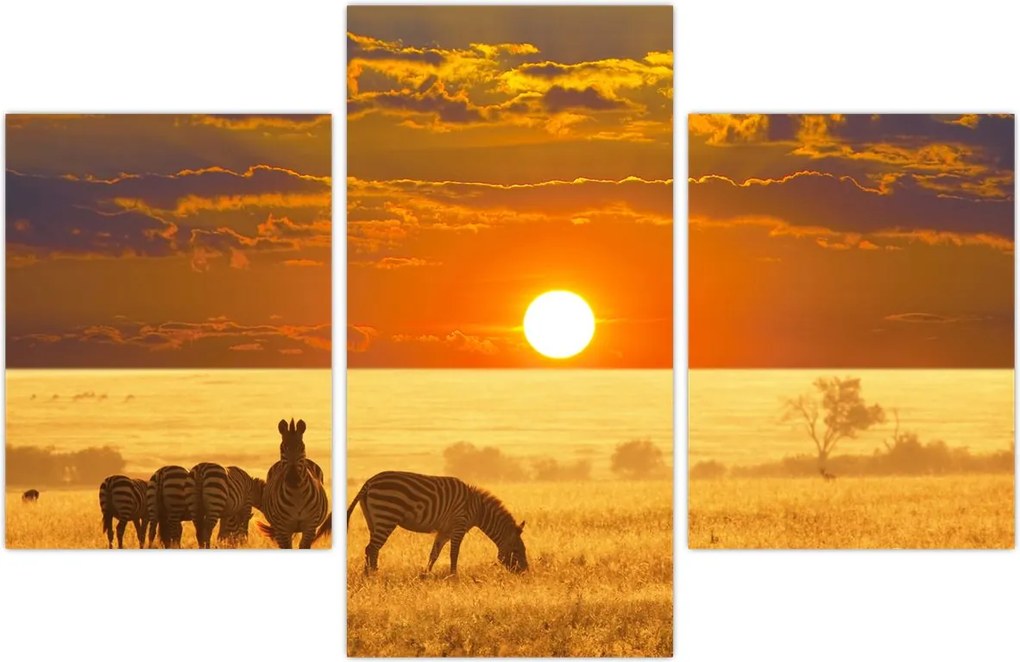 Tablou - Zebre cu apus de soare (90x60 cm)
