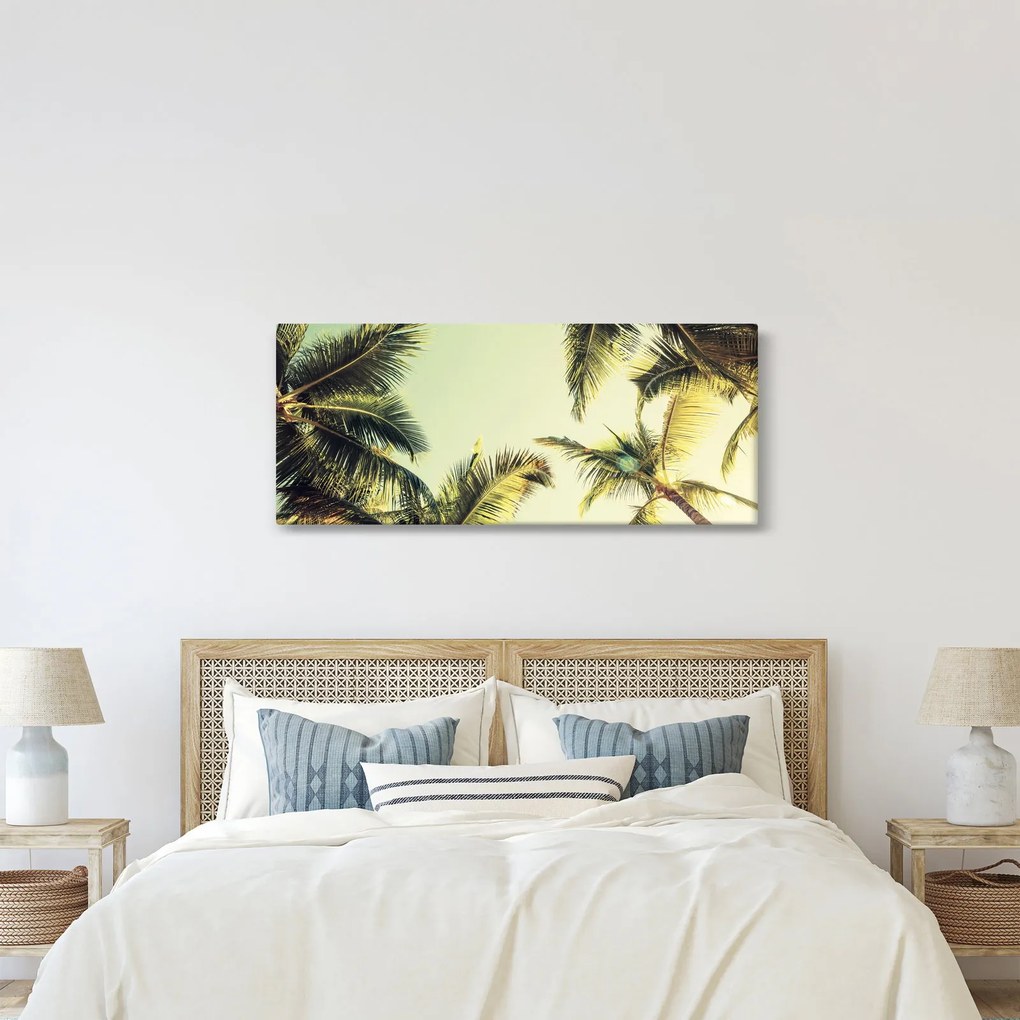 Tablou - Palmieri de cocos (120x50 cm)