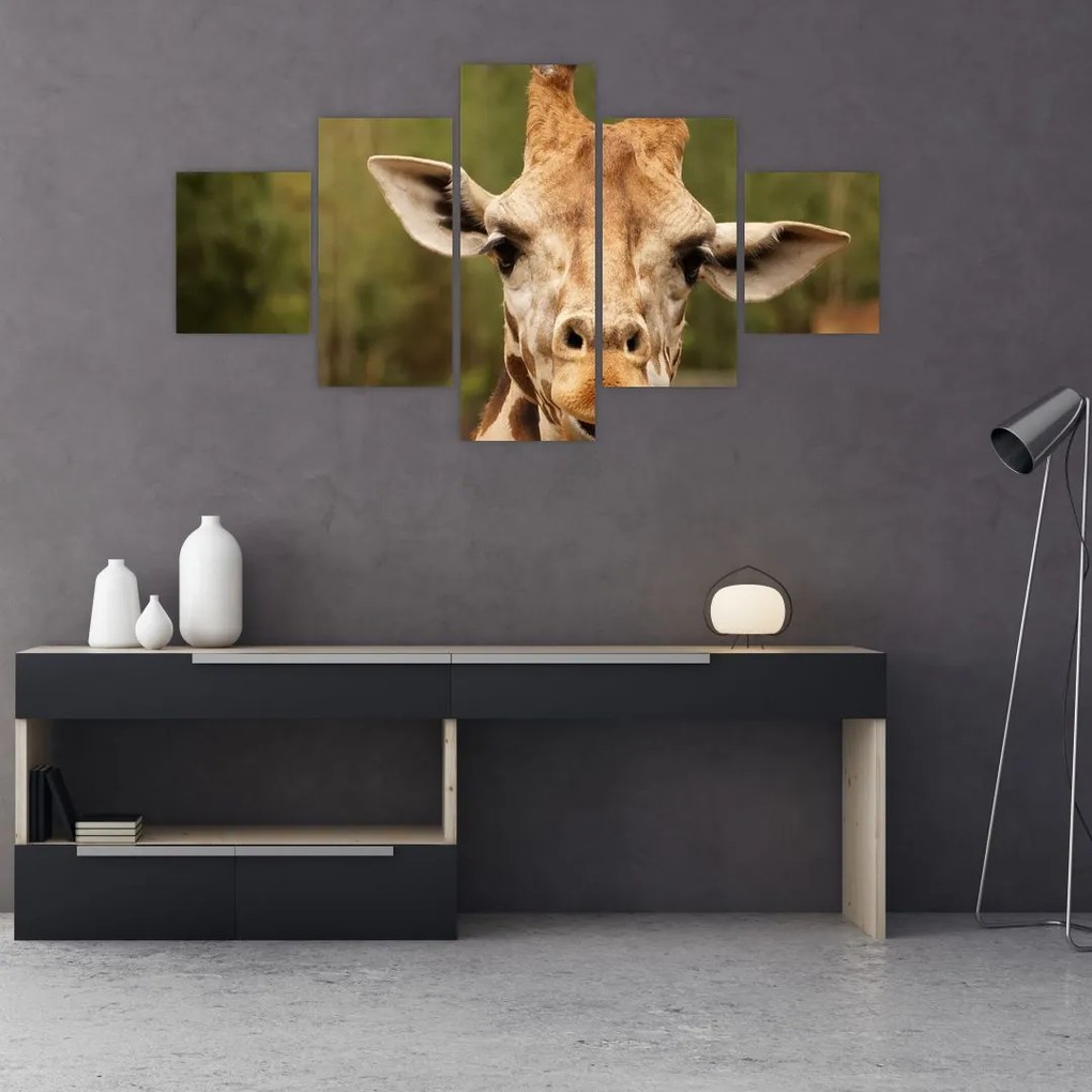 Tablou girafe (125x70 cm), în 40 de alte dimensiuni noi