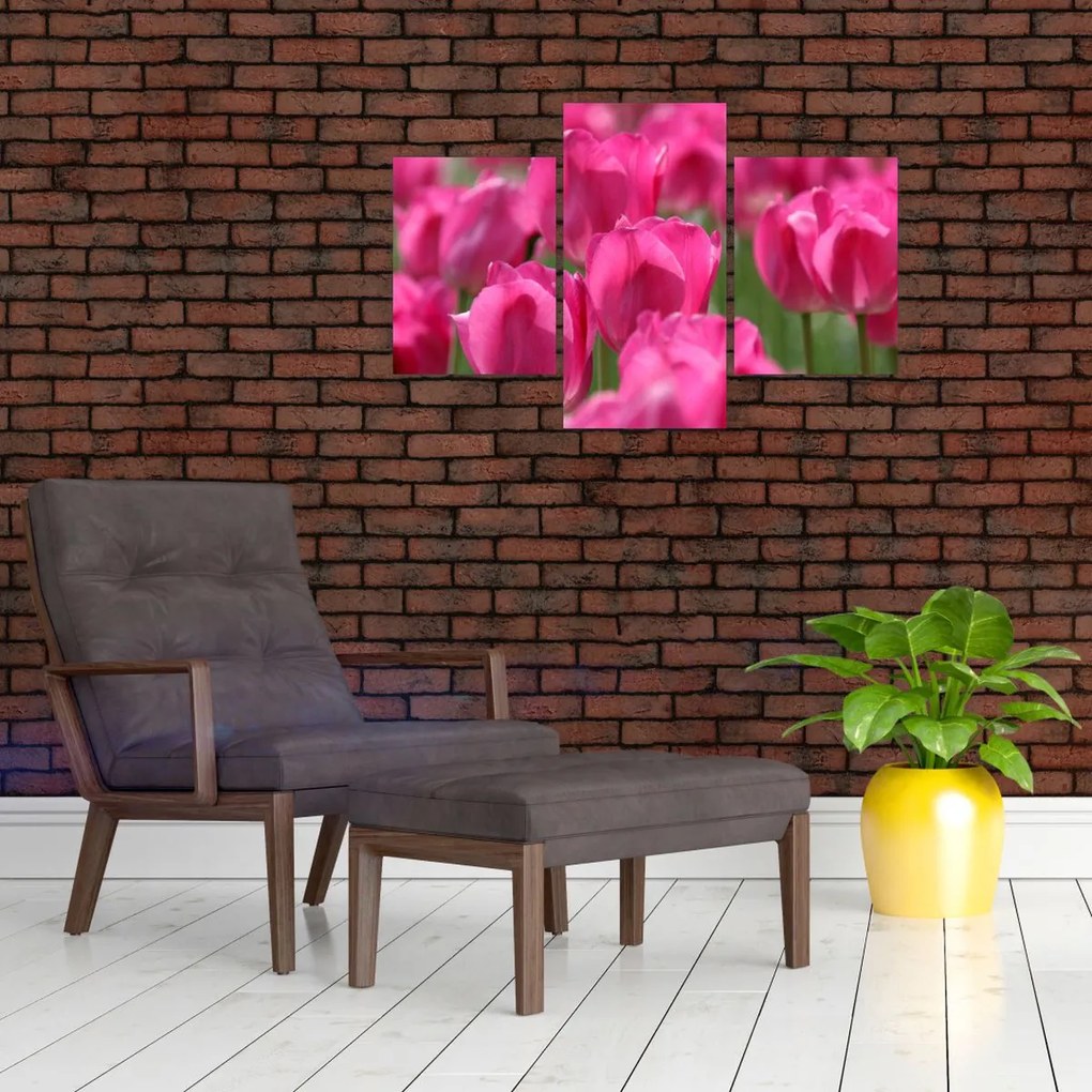 Tablou - Lalele roz (90x60 cm)