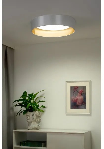 Plafonieră LED Duolla ROLLER LED/24W/230V d. 45 cm argintiu/auriu