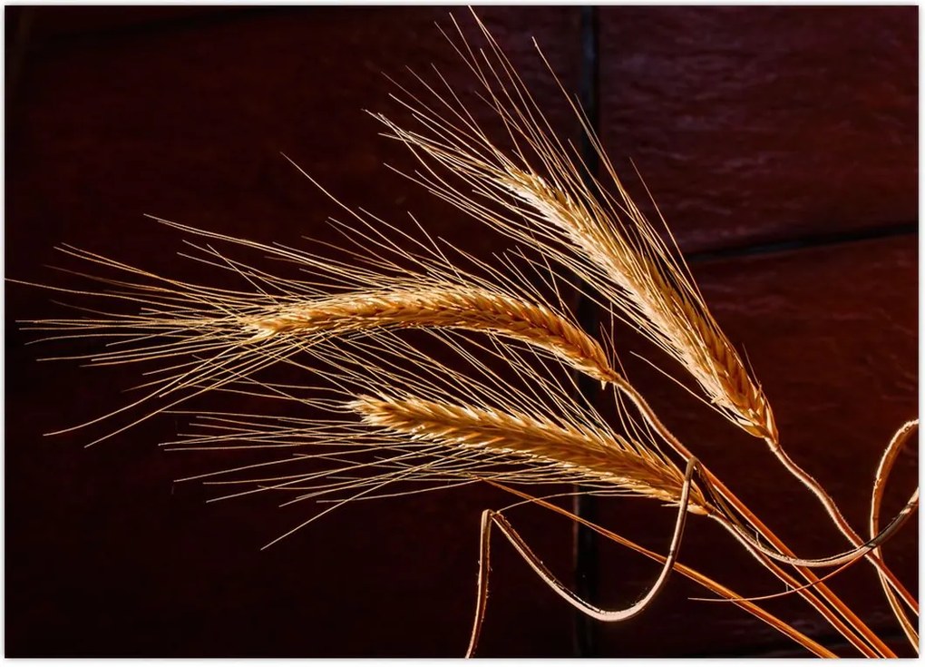 Tablou - Spic în prim plan (70x50 cm)