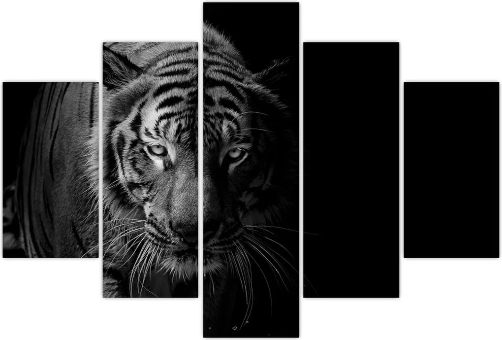 Tablou - Tigru sălbatic (150x105 cm)