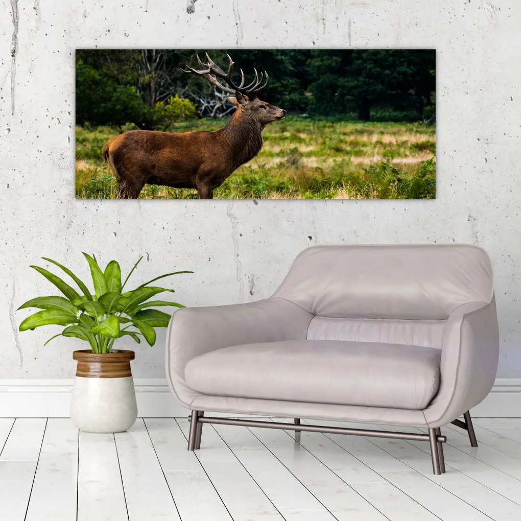 Tablou cu cerb (120x50 cm)