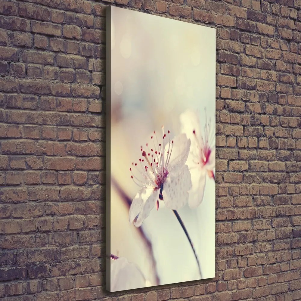 Imprimare tablou canvas Flori de cireș