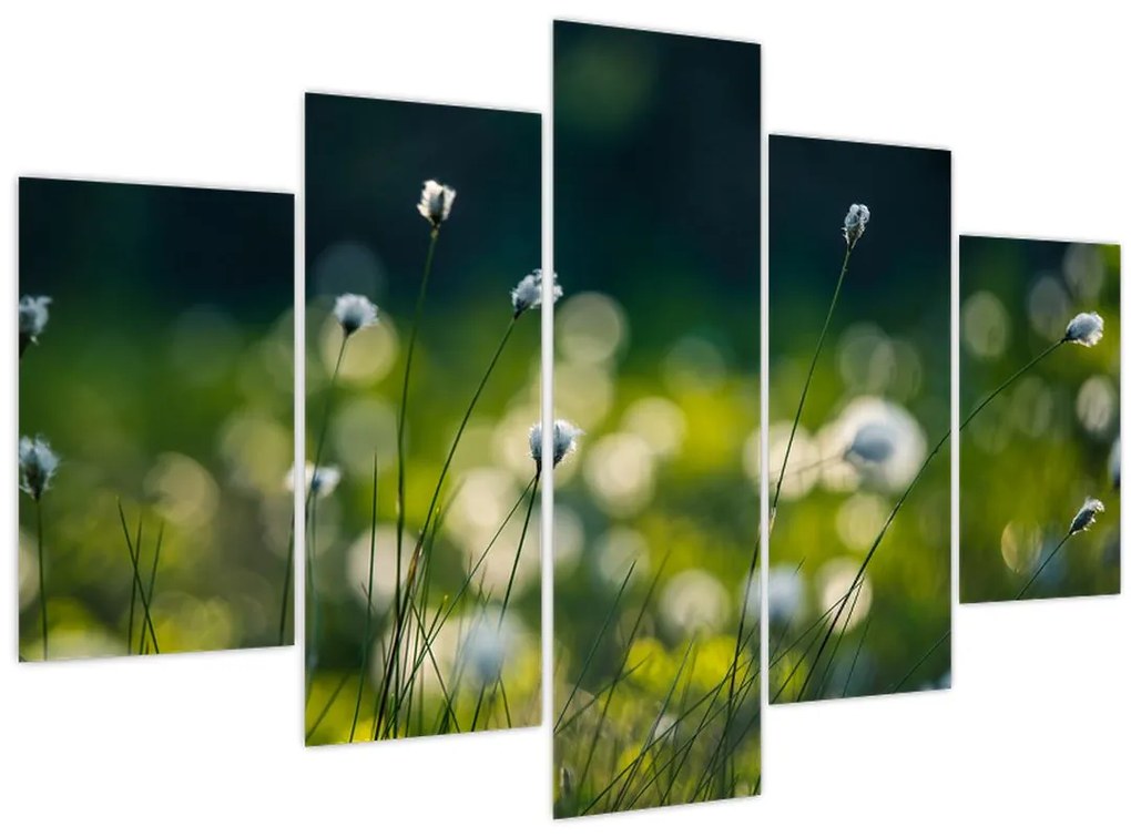 Tablou - Iarbă (150x105 cm)