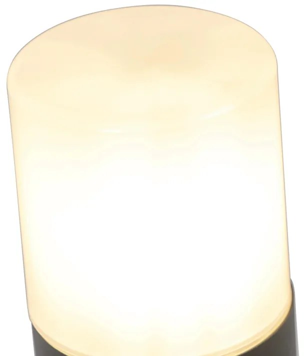 Lampă de exterior neagră cu abajur opal alb 50 cm - Odense