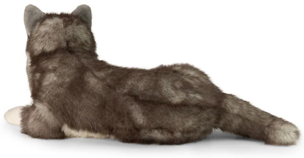 Rappa Câine husky de pluș culcat 60 cm