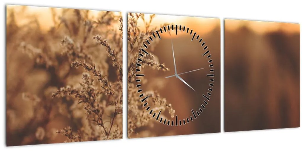 Tablou - Iarba înflorită (cu ceas) (90x30 cm)