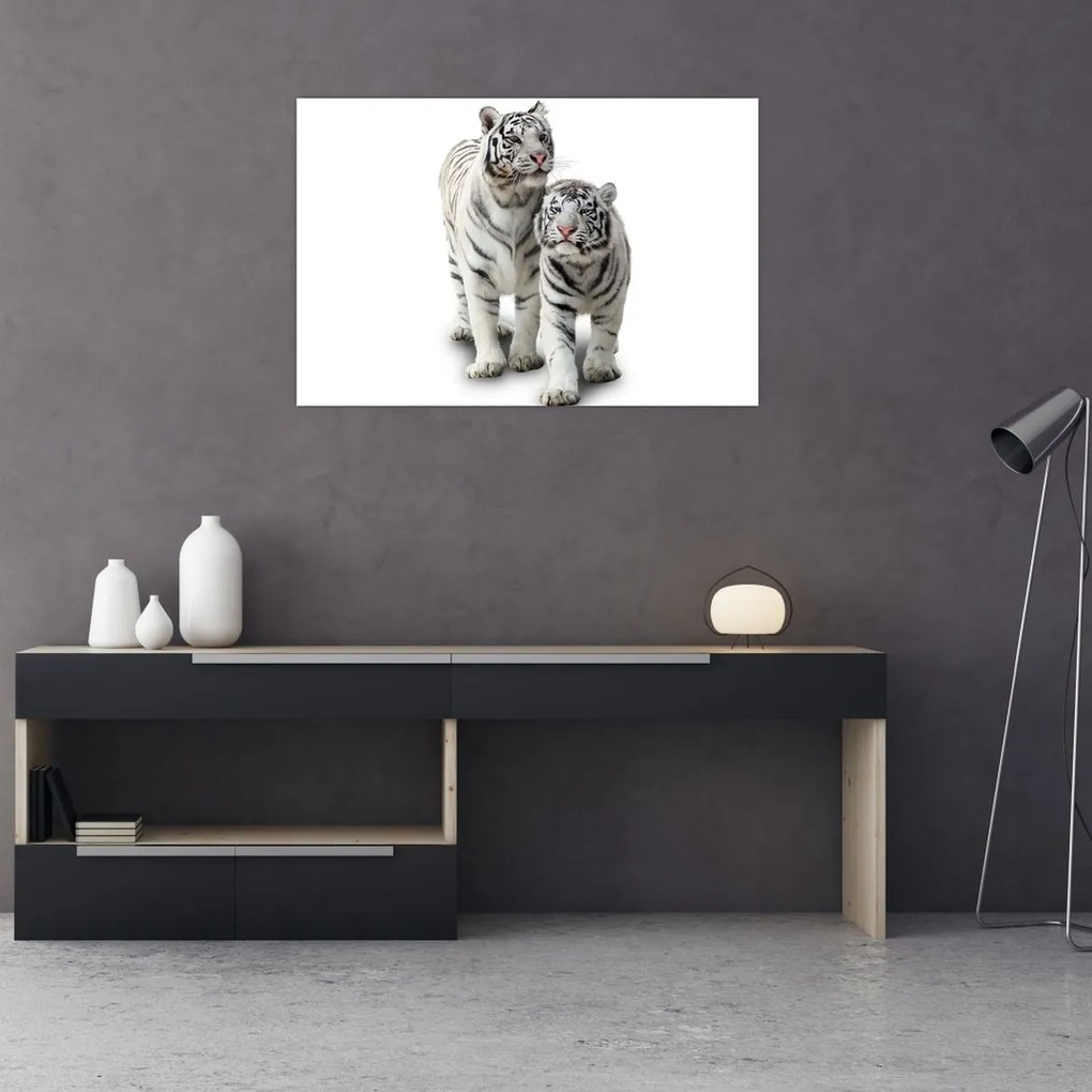Tablou - Tigrul alb (90x60 cm)