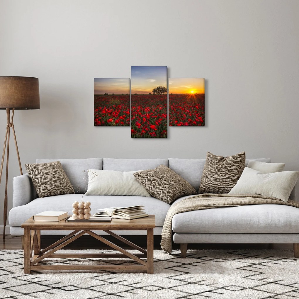 Tablou cu lunca și macii (90x60 cm)