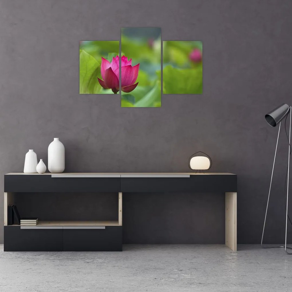Tablou - floare de apă (90x60 cm)