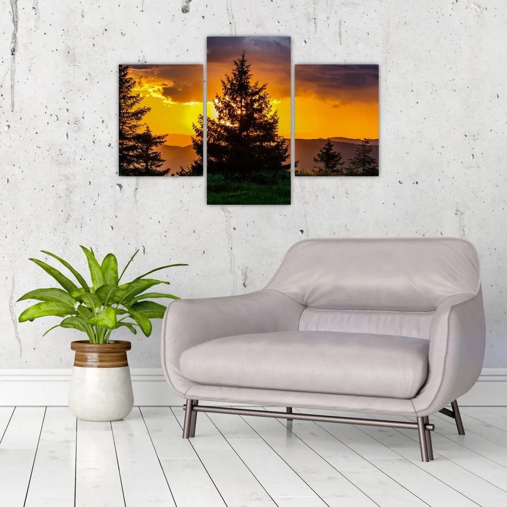 Tablou - coniferi (90x60 cm)