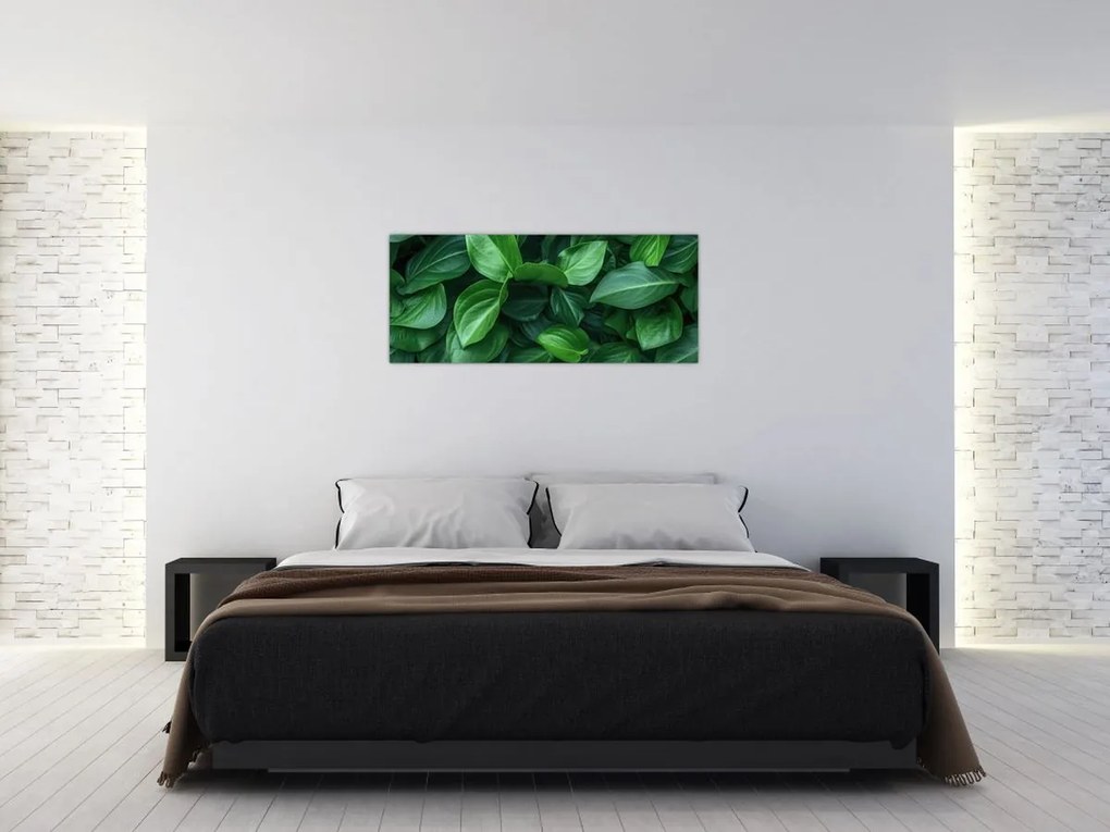 Tablou - Frunze verzi (120x50 cm)