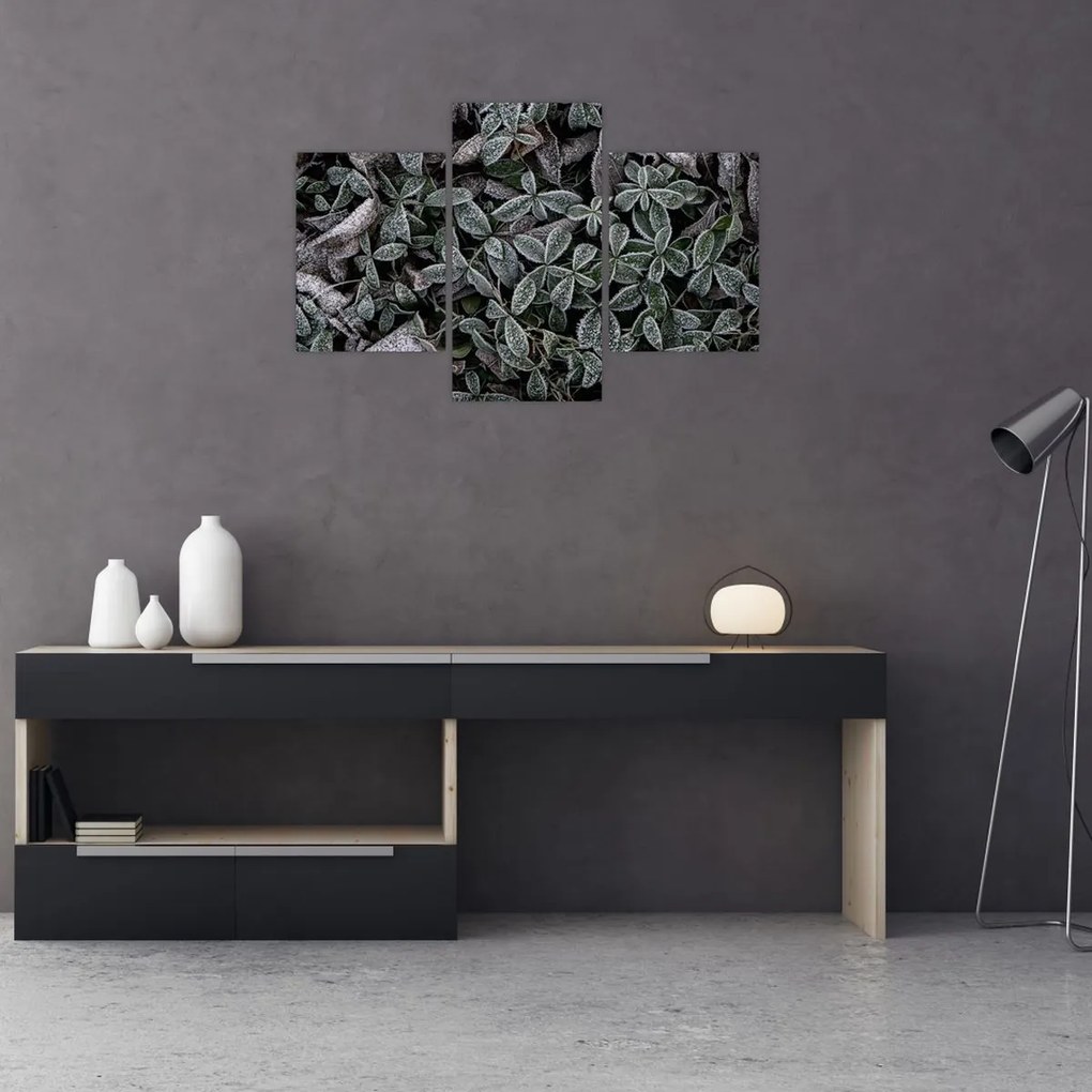 Tablou - Plante înghețate (90x60 cm)