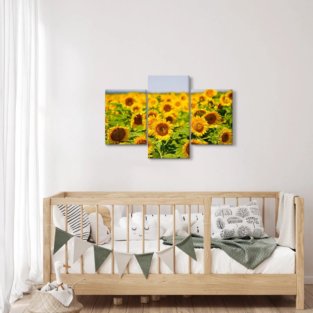 Tablou - Floarea-soarelui (90x60 cm)