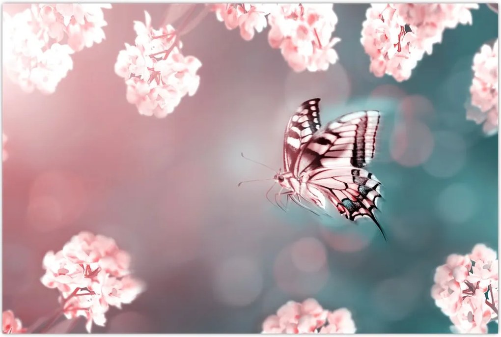 Tablou - Fluture între flori (90x60 cm)