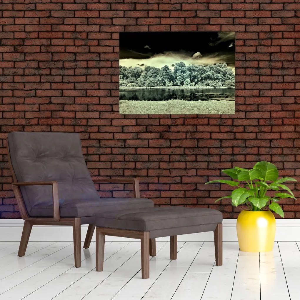 Tablou pe sticlă suprafeței de apă (70x50 cm)