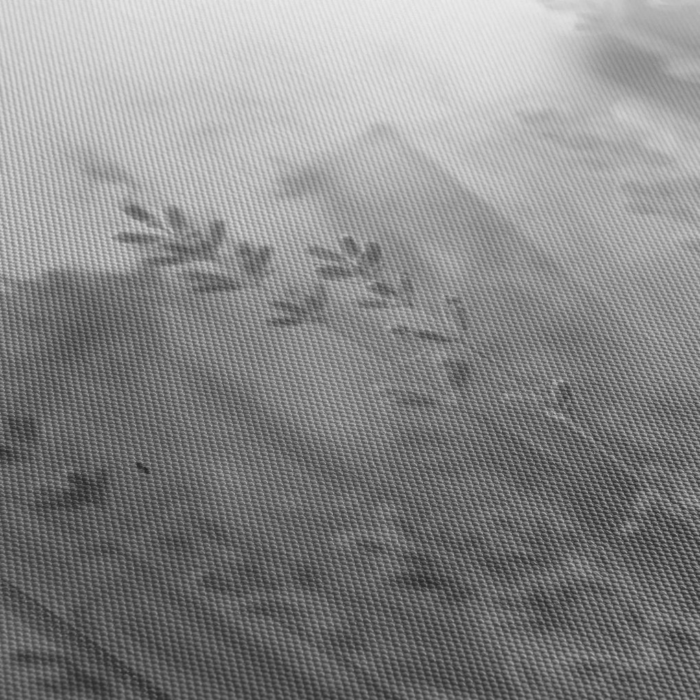 Tablou - Lavanda (70x50 cm)