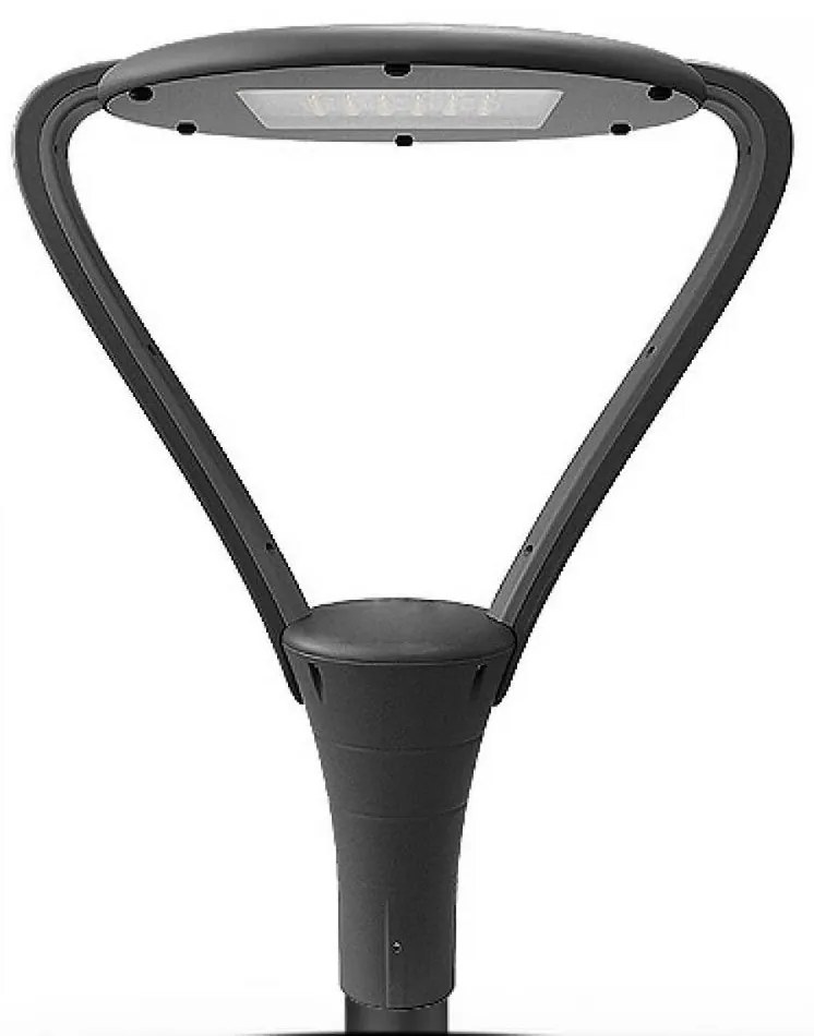 Lampă exterior LED TUCAN 1xLED/50W/230V IP65