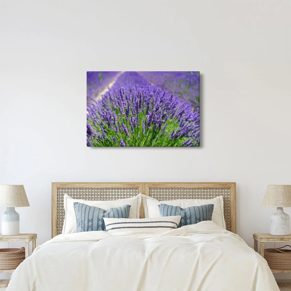 Tablou - lavanda (90x60 cm)