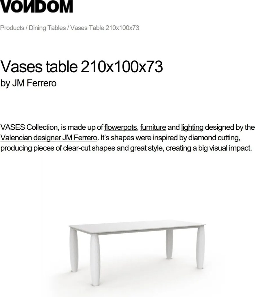 Masa dining de exterior / interior design modern premium VASES 210x100cm