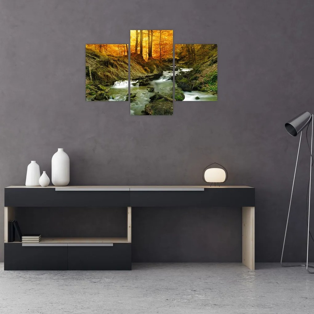 Tablou - Pădure (90x60 cm)