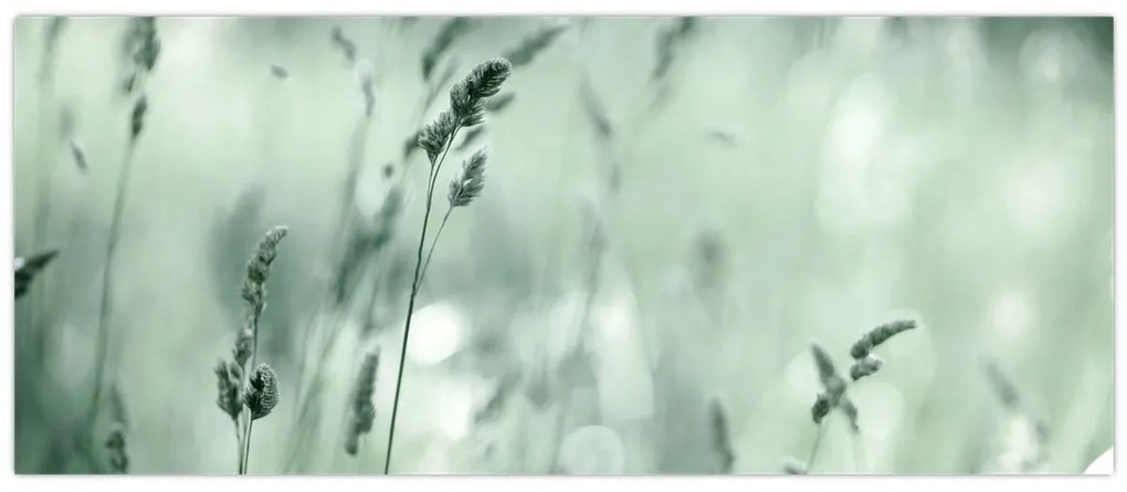 Tablou - Pajiște verde (120x50 cm)