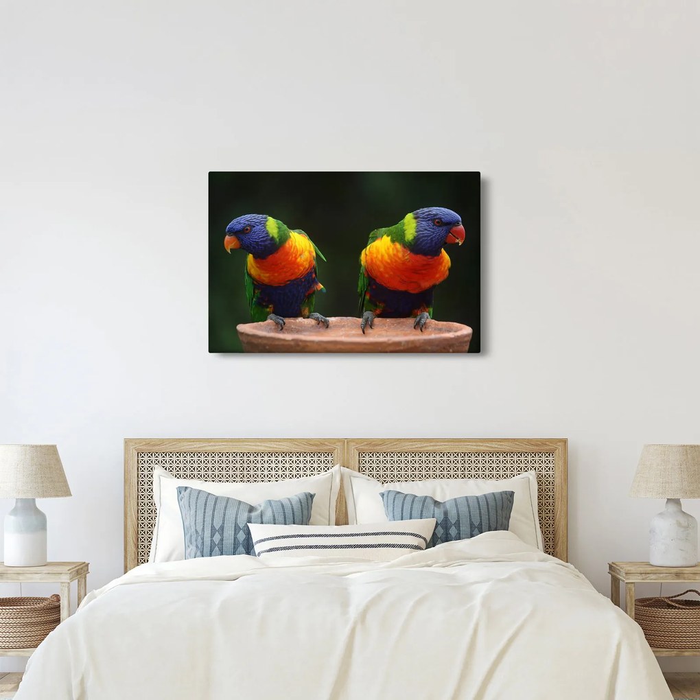Tablou cu papagali (90x60 cm)