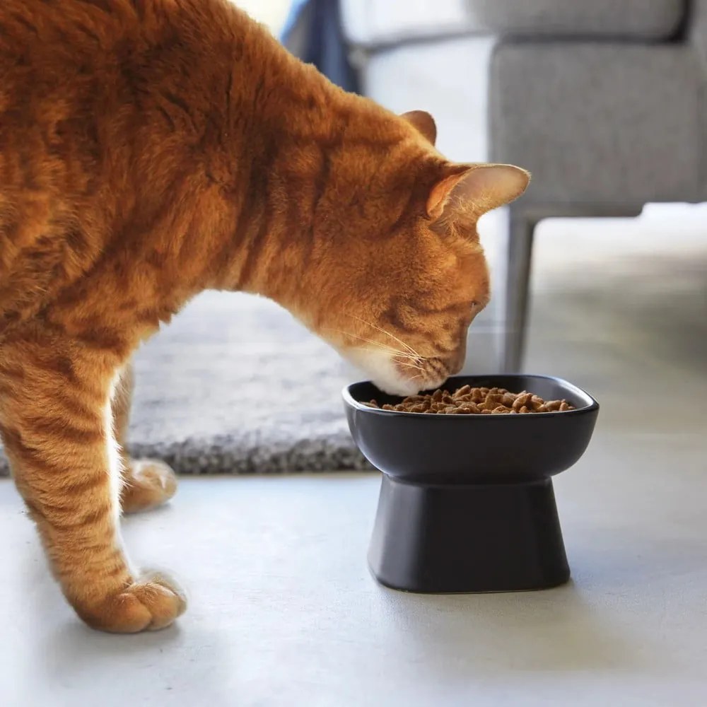 Bol pentru animale de companie din ceramică Tower – YAMAZAKI