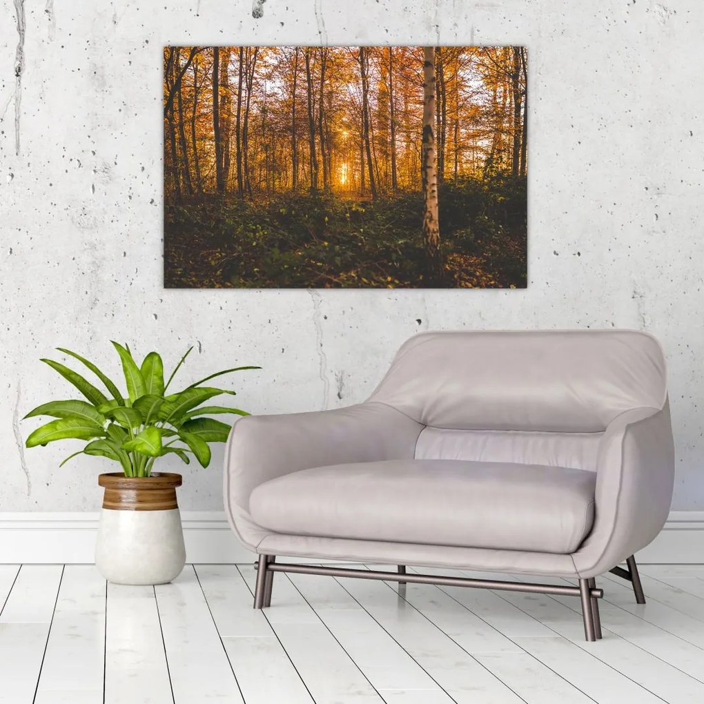 Tablou - Pădurea toamna (90x60 cm)