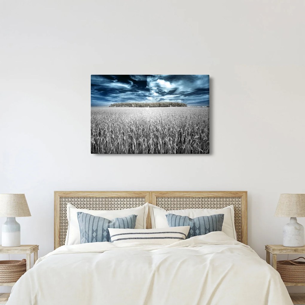 Tablou cu câmp (90x60 cm)