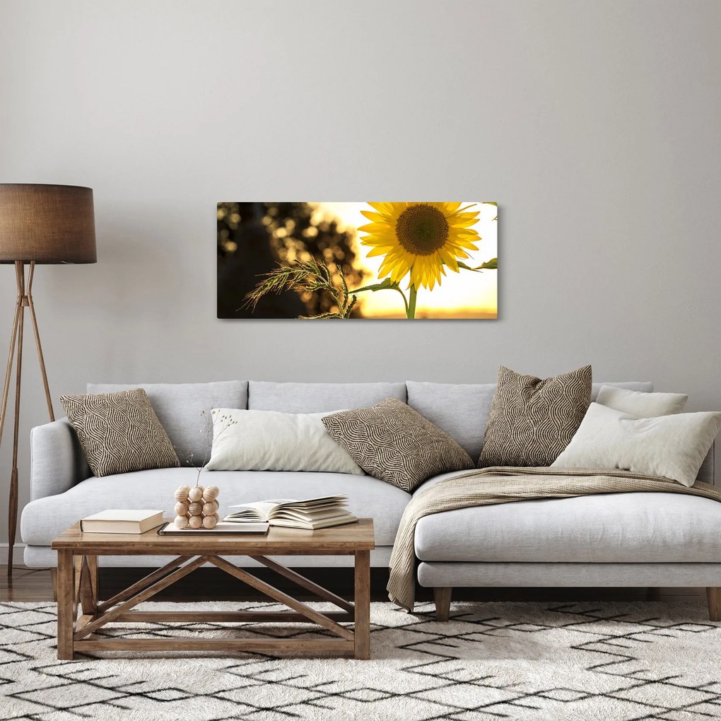 Tablou cu floarea soarelui (120x50 cm)