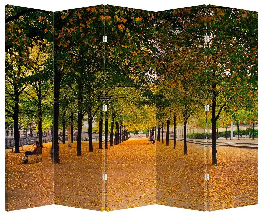 Paravan - Alee - copaci în toamnă (210x170 cm)