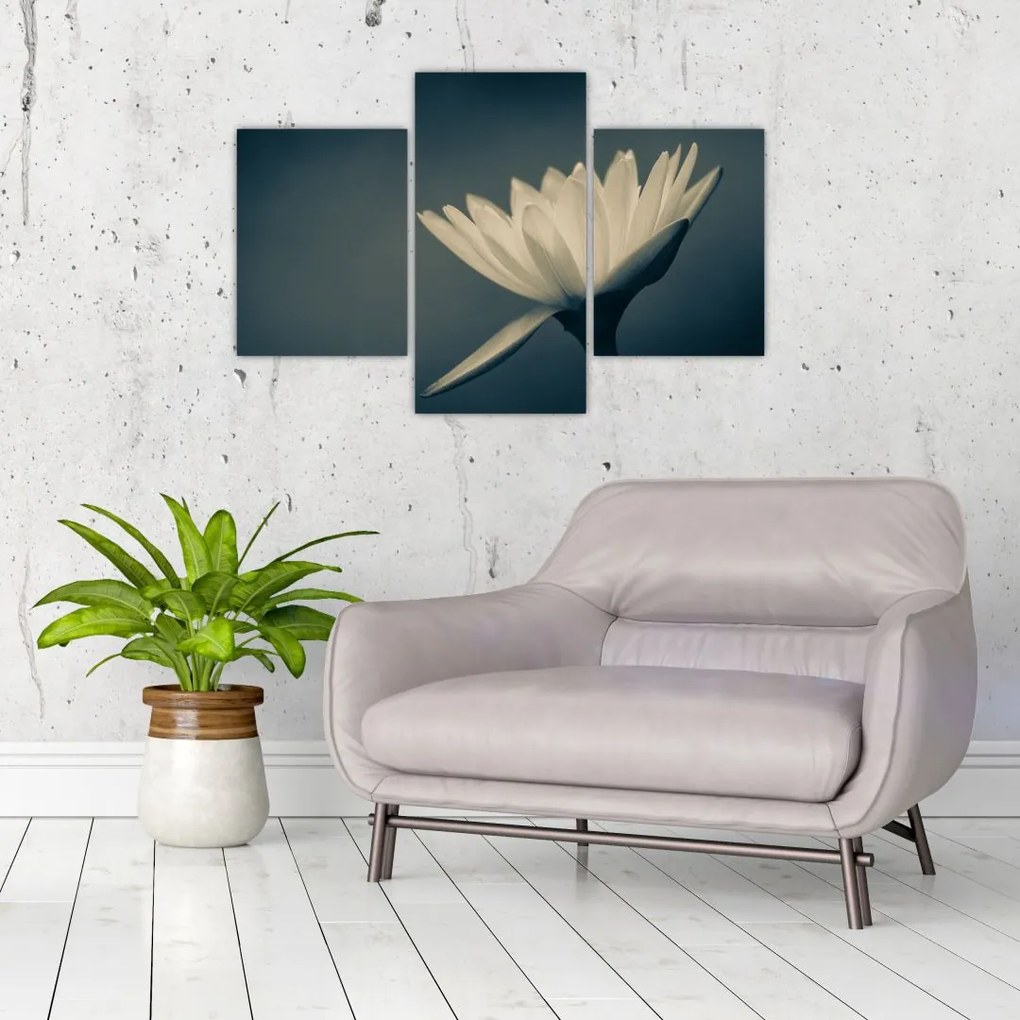 Tablou cu flori (90x60 cm)