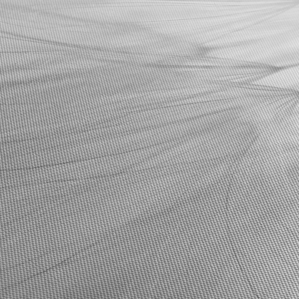 Tablou - Dandelion (150x105 cm)