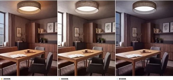 Brilagi - Plafonieră LED VELVET VARI LED/24W/230V CCT Ø 45 cm maro