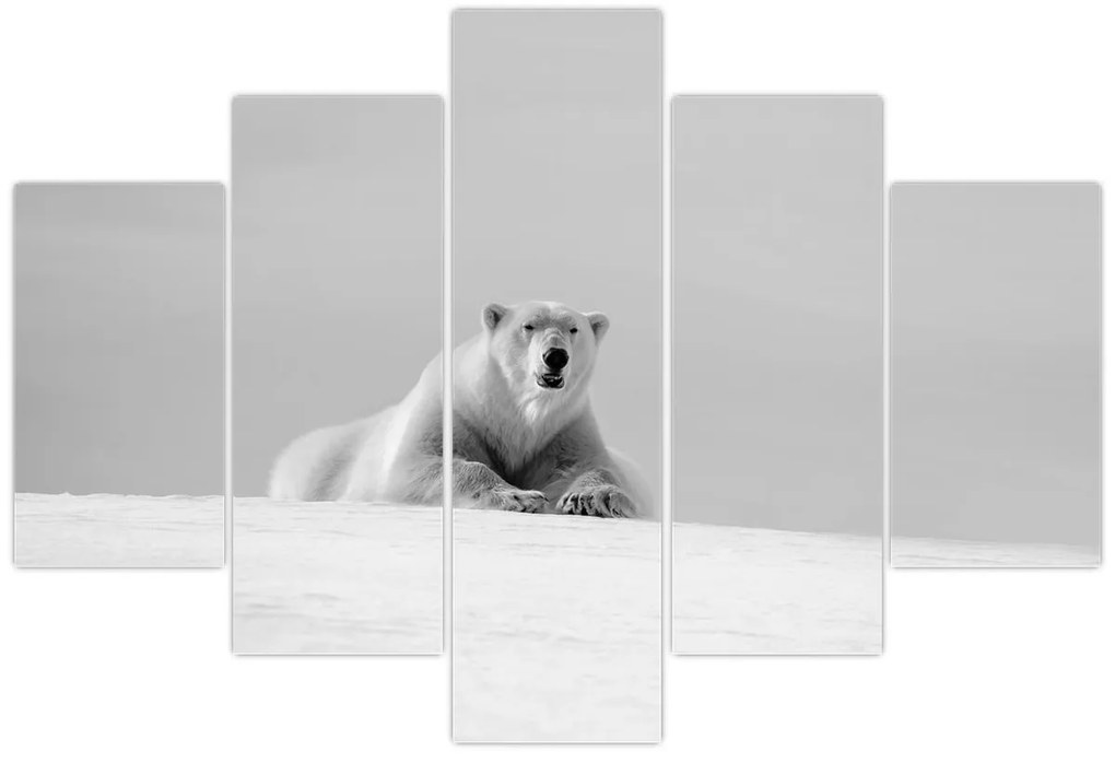 Tablou - Ursul polar (150x105 cm)