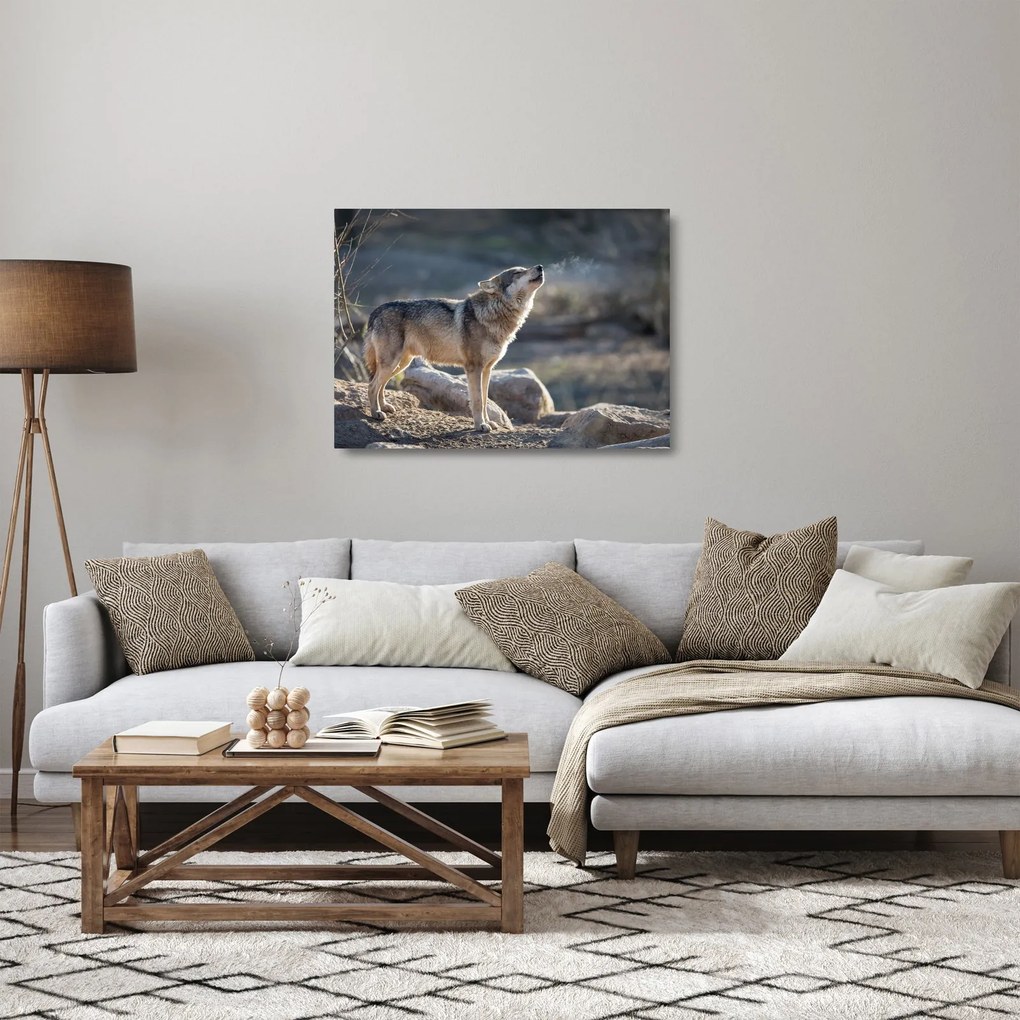 Tablou pe sticlă - Lupul urlător (70x50 cm)