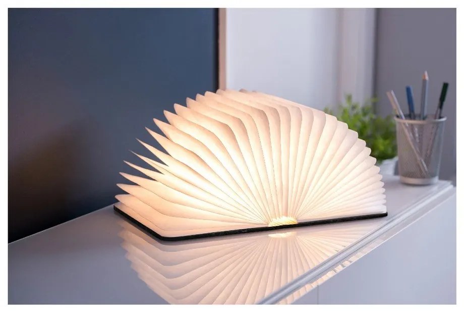 Decorațiune luminoasă neagră cu USB Booklight – Gingko